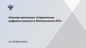 На семинаре-практикуме рассмотрели вопросы использования цифровых решений в деятельности контрольно-счетных органов 