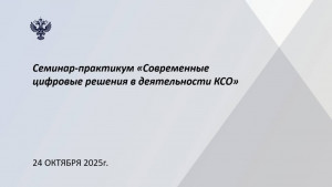 На семинаре-практикуме рассмотрели вопросы использования цифровых решений в деятельности контрольно-счетных органов